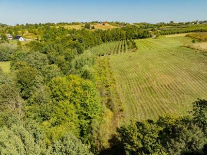 Działka rolno-leśna, 1,56 ha, Sadek, Jodłownik