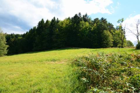 Działki 76 arów z potencjałem inwestycyjnym