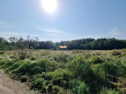 Modlniczka obok Kraków przy lesie super okazja