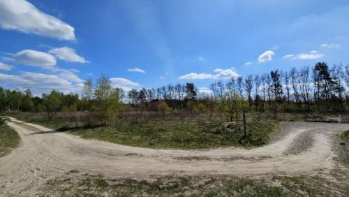 Działka wśród lasu Cisza, natura, MPZP Żółwin