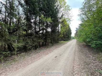 Klimatyczne siedlisko 2,2 ha z własnym lasem