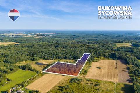 Działka leśna pow. 29.600 m , Bukowina Sycowska