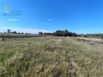 Atrakcyjna działka 1450 m z MPZP Dachowa