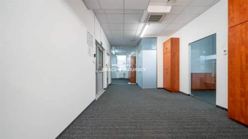 Powierzchnia biurowa z parkingiem - 250m2