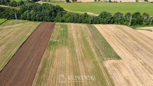 Działka na sprzedaż Postomino 12 600 m MPZP