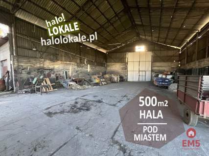 Hala pod miastem