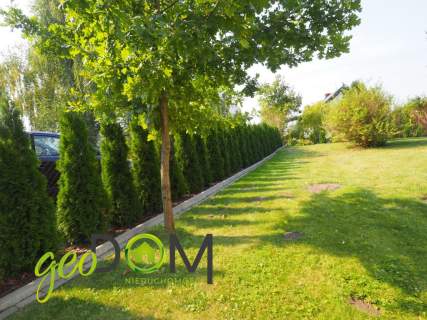 Dom 67 m2 działka 1697 m2 57x30 Jagodne