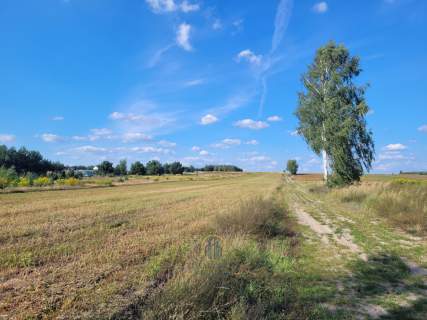 Działka budowlana las zalew