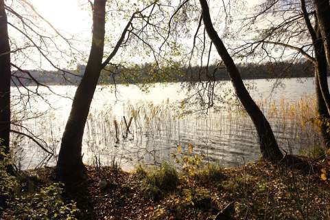 Działka z linią brzegową jeziora