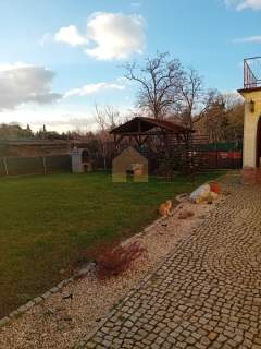dom/ogród/taras