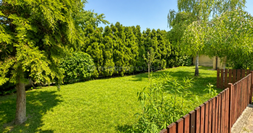 Dom 160 m 5 pokoi duża piwnica Żyrardów