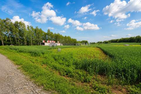 działka budowlana Bodzanów 610m2 przy lesie