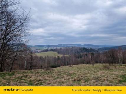 Cudna działka z widokiem na panoramę Doliny Bobru.