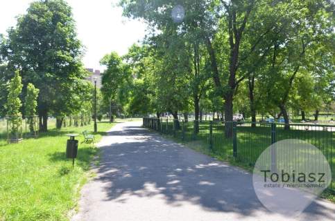 Lokal parter 350 m2 /duże natężenie ruchu