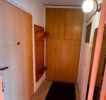 Ustawna kawalerka pet-friendly- Al. Włókniarzy 228