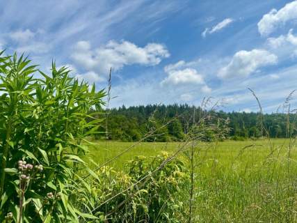 Złoty Widok na Twoją Przyszłość 1800 m2 Słupice