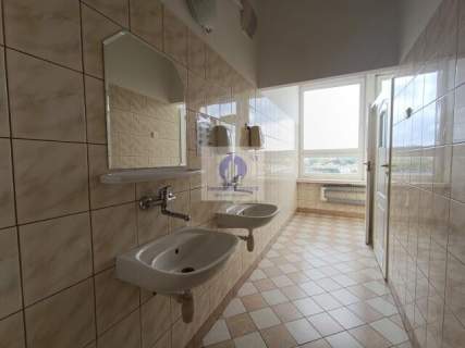 Praga Północ lokal biurowy 50m2 do wynajęcia