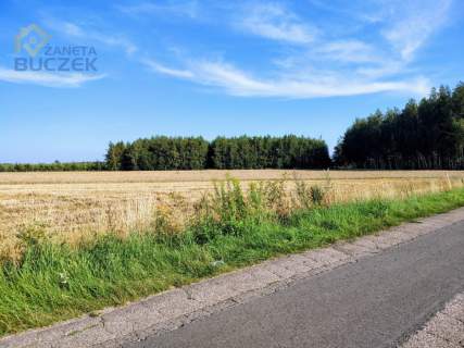 Sprzedam ziemię rolną 12,7428 ha w Januszewie