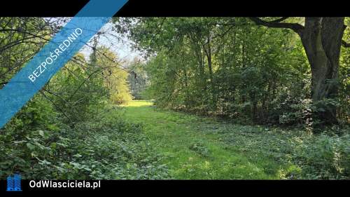  Unikatowy park pod Warszawą