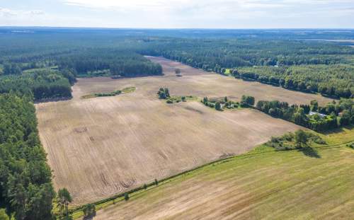 WYJĄTKOWA DUŻA DZIAŁKA SIEDLISKOWA NA KASZUBACH