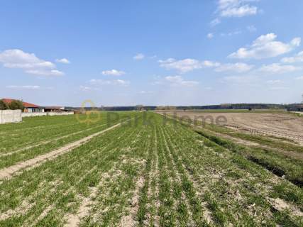Kompleks o pow. 2,84 ha - Szymanowo Rawicz