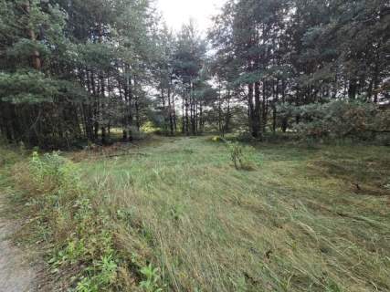 Działka budowlana na sprzedaż, 4000 m2, Ożarowice