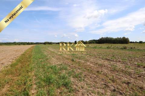 Działka rolna 0.43 ha Dobrzanów gm. Skórzec