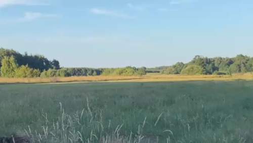 Działka z linią brzegową- kamper, przyczepa,namiot