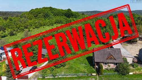 rezerwacja Morsko Jura Krakowsko-Częstochowska