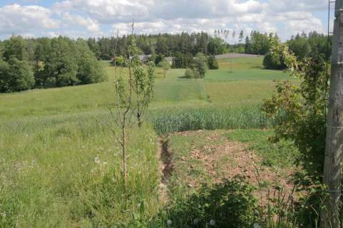 Działka siedliskowa na sprzedaż, 4819 m2, Sadłowina