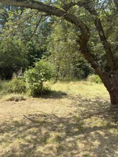 Uzbrojona działka budowlana 2300 m2 / Frywałd / bez prowizji