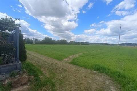 Działka rolna Cholerzyn 5400 m2