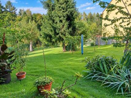 Alwernia 4 pokoje działka 1650 m2