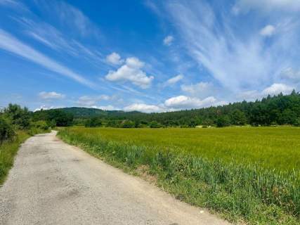 Złoty Widok na Twoją Przyszłość 1800 m2 Słupice