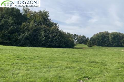 Działka budowlana Przodkowo - Bursztynik