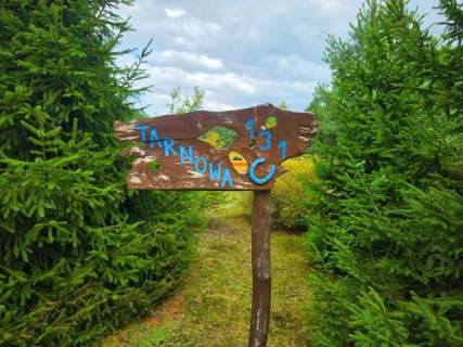 Wyjątkowe siedlisko 138m2, stajnia, agroturystyka przy lesie...