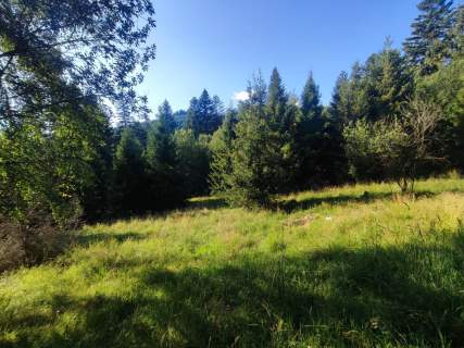 6245 m w Złatnej przestrzeń, las, góry i potencjał.
