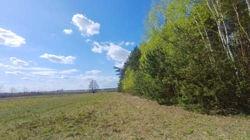 Działki budowlane pod lasem gmina Warka , Borowe