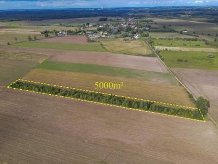 Działka rolna na sprzedaż, 5000 m2, Białogórzyno
