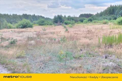 30 715 m przy S8 terenPUhale,magazyny,logistyka