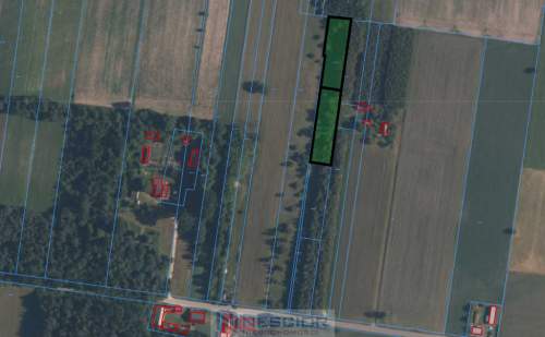 Działka budowlana w Gołąbku 1514m