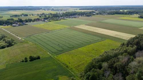 Działka rolna Hadra 4,6440 ha