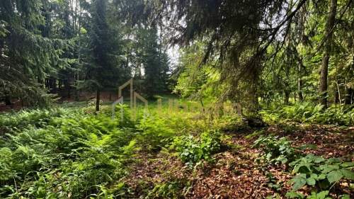 Działka 3206 m przy jeziorze z WZ