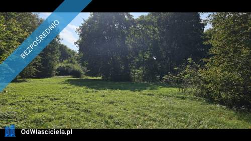  Unikatowy park pod Warszawą