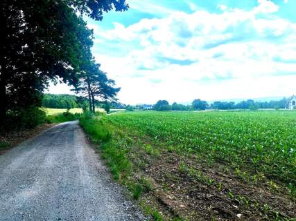 Złoty Widok na Twoją Przyszłość 1800 m2 Słupice
