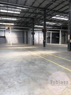 Hala produkcyjna/ suwnica/ duży plac