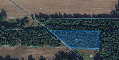 Na sprzedaż gospodarstwo 11,34ha Kisielsk