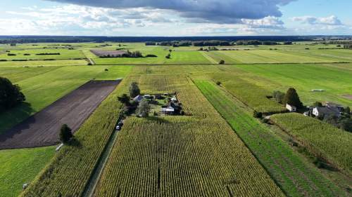 Dom 52m2 z dużą działką 3500m2 w otoczeniu natury