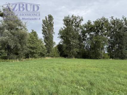 Działka inwestycyjna na sprzedaż, 12000 m2, Słupca