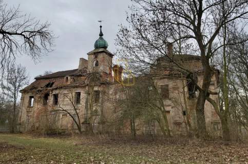 Dom/Pałac obiekt zabytkowy, wybudowany w 1782r